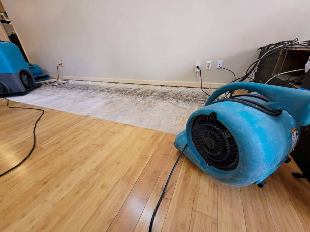 Professional Water Extraction technician working in Fernley, NV
